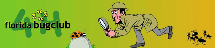 Florida 4-H Bug Club