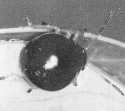 Third instar larva of the predatory stink bug, Stiretrus anchorago (Fabricius). 