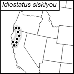 distribution map for Idionotus siskiyou