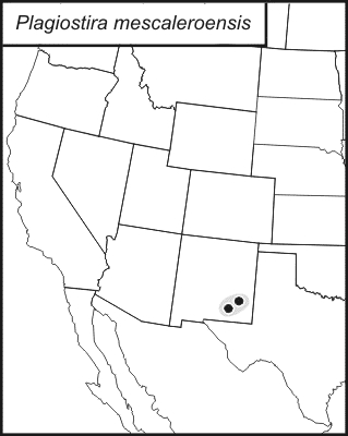 distribution map for Plagiostira mescaleroensis