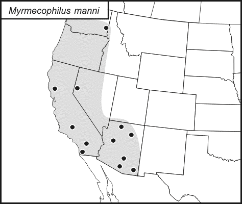 distribution map for Myrmecophilus manni