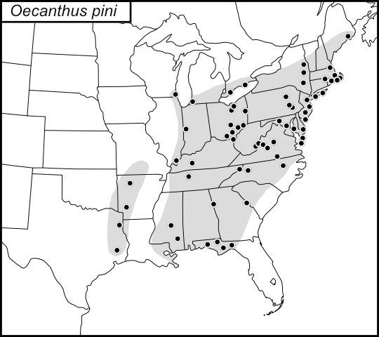 distribution map for Oecnathus pini