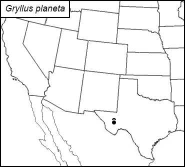 distribution map for Gryllus planeta